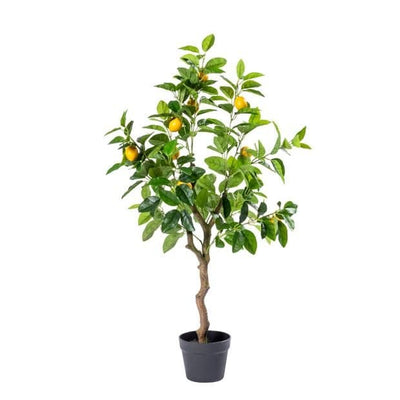 LEMON Green lemon tree H 100 cm - Ø 55 cm - best price from Maltashopper.com CS655746