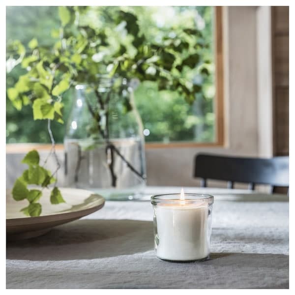 JÄMNMOD candela profumata con vetro, Cicerchia odorosa/viola, 50 h - IKEA  Italia