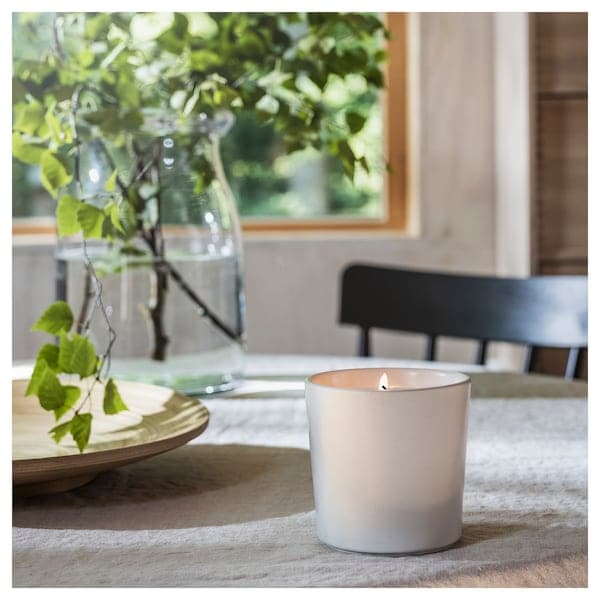 ADLAD - Scented candle in ceramic jar, Scandinavian Woods/white, 50 hr - best price from Maltashopper.com 50502202