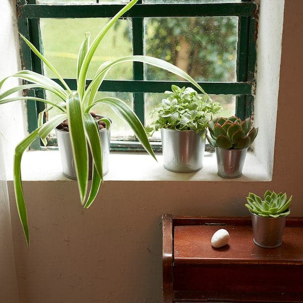 ÅKERBÄR - Planter holder, indoor/outdoor/galvanised, 6 cm - best price from Maltashopper.com 90537153