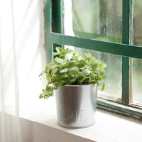 ÅKERBÄR - Plant pot, in/outdoor/galvanised, 9 cm - best price from Maltashopper.com 20537156