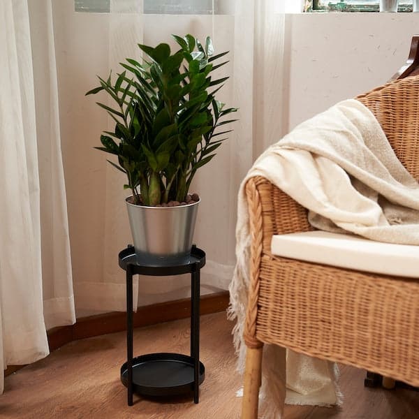 ÅKERBÄR - Plant pot, in/outdoor/galvanised, 15 cm - best price from Maltashopper.com 60537159