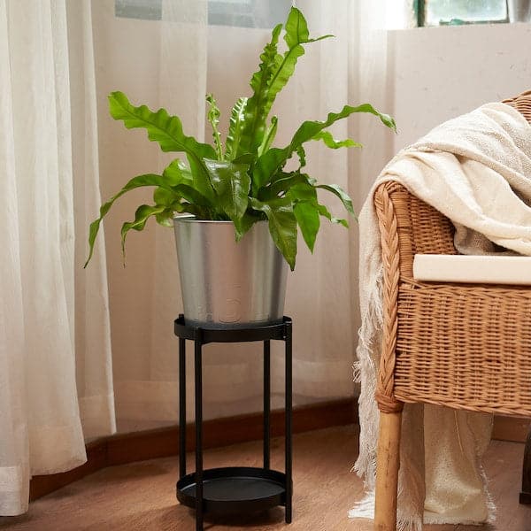 ÅKERBÄR - Plant pot, in/outdoor/galvanised, 19 cm - best price from Maltashopper.com 00537162