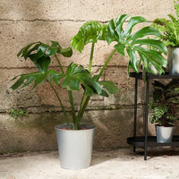 ÅKERBÄR - Plant pot, in/outdoor/galvanised, 24 cm - best price from Maltashopper.com 50497696