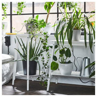 ALPVIDE - Plant stand, white, 71 cm - best price from Maltashopper.com 70546262