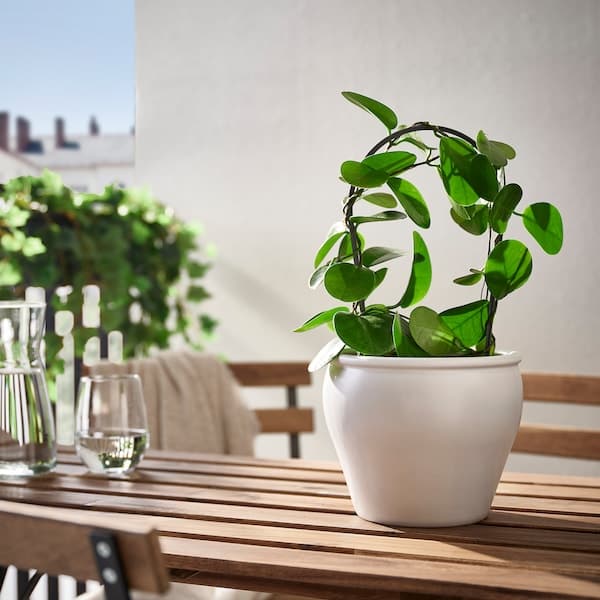 Ikea AMBRARÖNN - Plant pot, in/outdoor/white, 15 cm