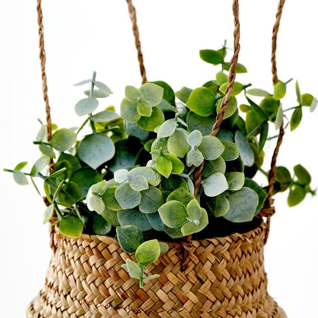 EARTH Potted plant white, green H 19 cm - Ø 6 cm - best price from Maltashopper.com CS624708