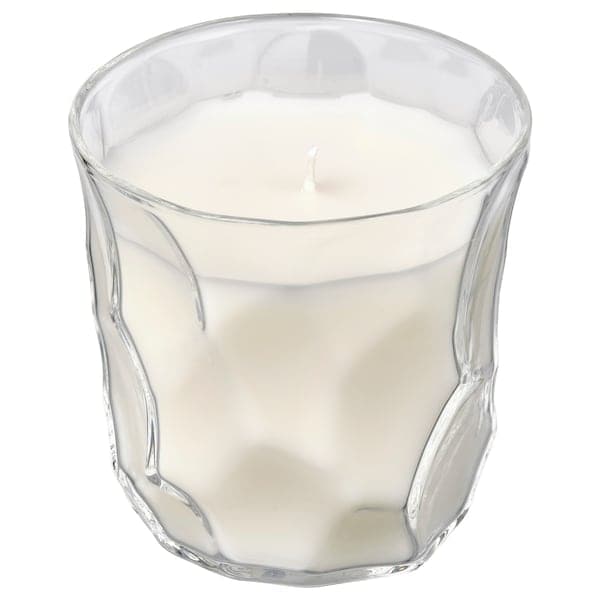 BASTUA - Scented candle in glass, Rhubarb elderflower/white