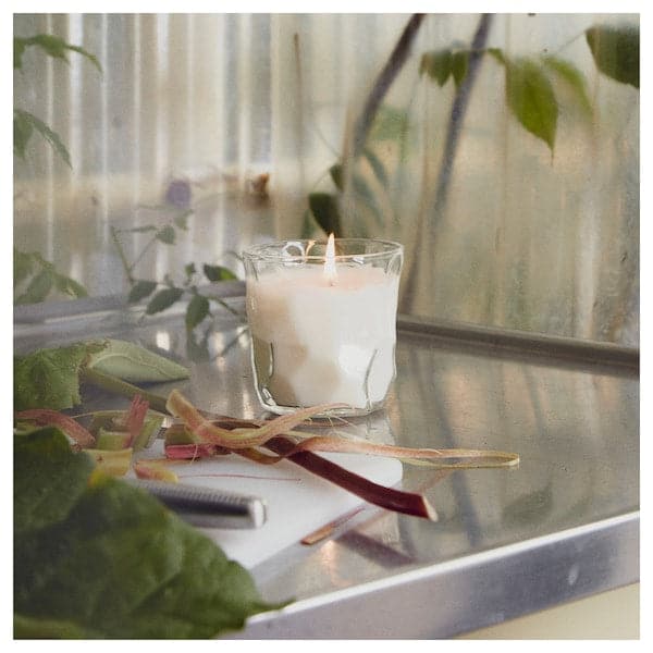 BASTUA - Scented candle in glass, Rhubarb elderflower/white