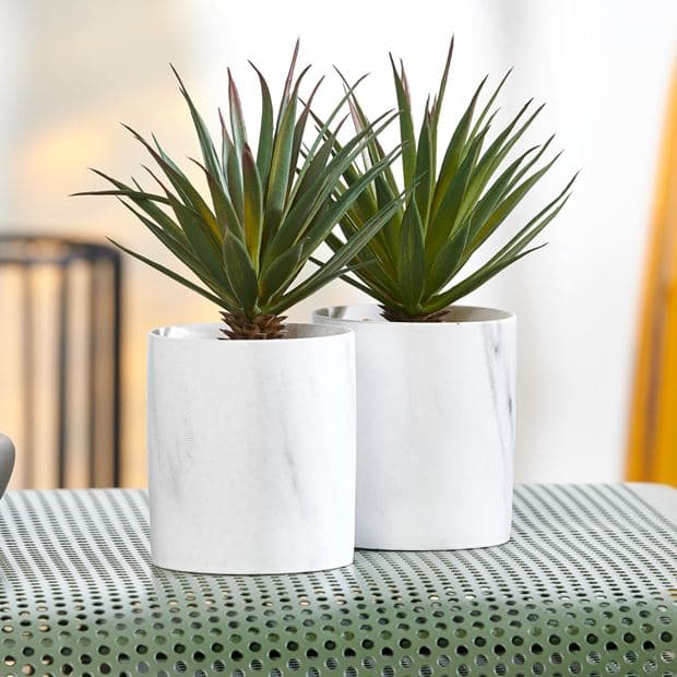 MARBERA Plant in white, green pot H 21 cm - Ø 7.5 cm - best price from Maltashopper.com CS627732