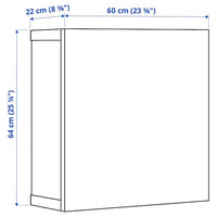 BESTÅ - Shelf unit with door, white/Hanviken white, 60x22x64 cm - best price from Maltashopper.com 09046819