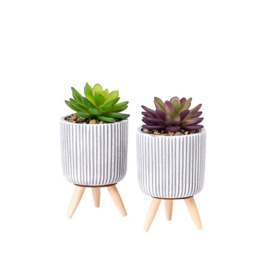 STRIPE Fake succulent in multicolored pot H 14 cm - Ø 7,5 cm - best price from Maltashopper.com CS633675