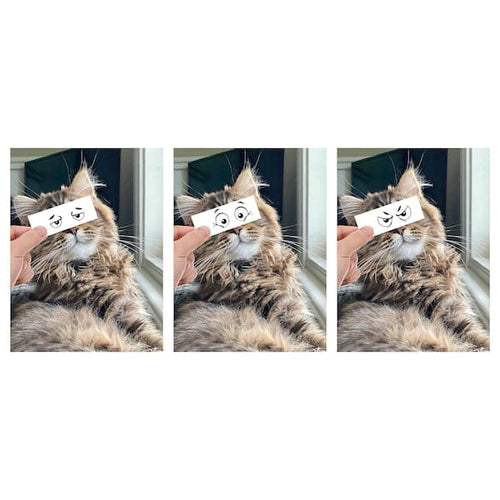 BILD poster, CleoCatra, 30x40 cm, 3 pack