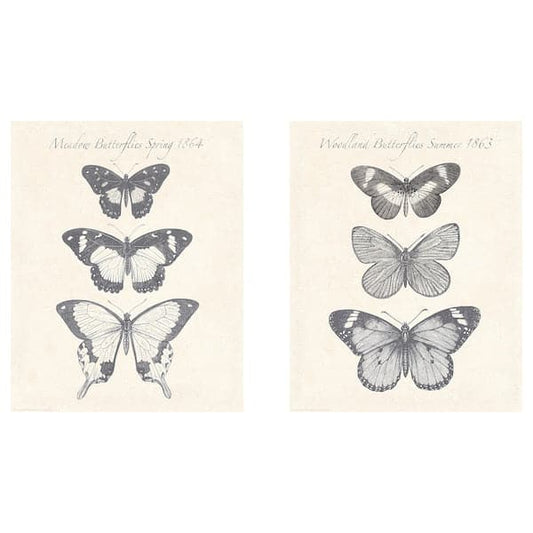 BILD - Poster, Butterflies , 40x50 cm - best price from Maltashopper.com 20442139