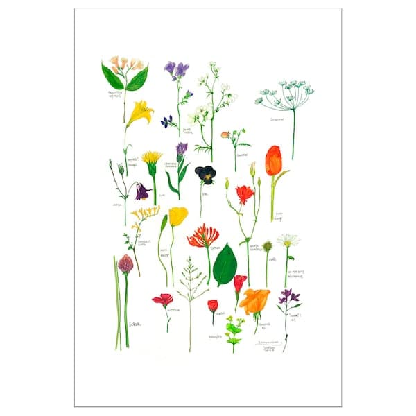 BILD - Poster , 61x91 cm - best price from Maltashopper.com 50441794