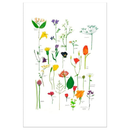 BILD - Poster , 61x91 cm - best price from Maltashopper.com 50441794