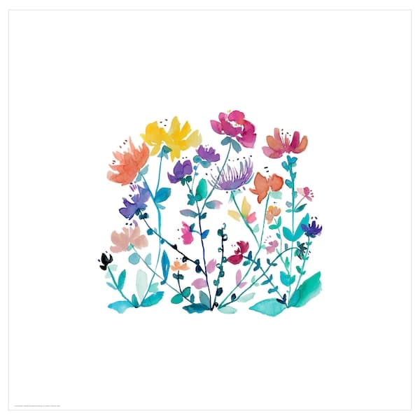 BILD - Poster , 50x50 cm