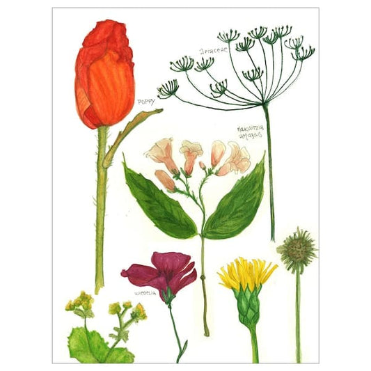BILD - Poster , 30x40 cm - best price from Maltashopper.com 50436108