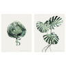 BILD poster, Green leaves, 40x50 cm, 2 pack