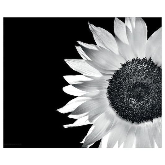 Ikea BILD - Poster ,