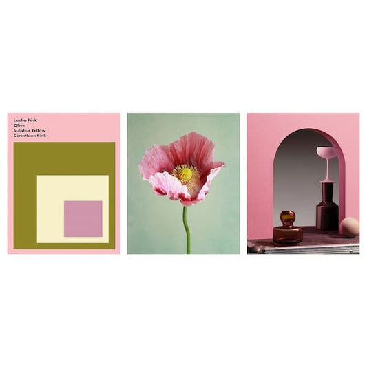 Ikea BILD - Poster, laelia rosa, , 40x50 cm