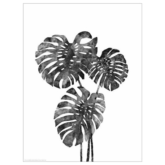 Ikea BILD - Poster , 30x40 cm