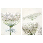 BILD - Poster , 30x40 cm - best price from Maltashopper.com 60441802