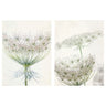 BILD poster, Lacy blooms, 30x40 cm, 2 pack