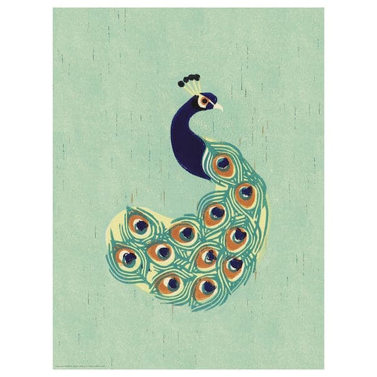 Ikea BILD - Poster, Peacock, 30x40 cm