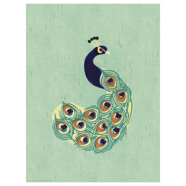BILD - Poster, Peacock, 30x40 cm