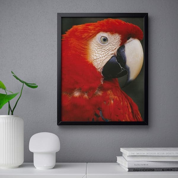 Ikea BILD - Poster , 40x50 cm