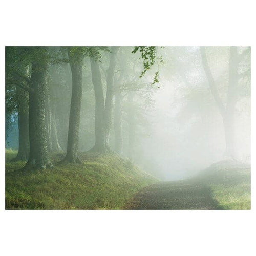 BILD poster, Woodland way, 91x61 cm