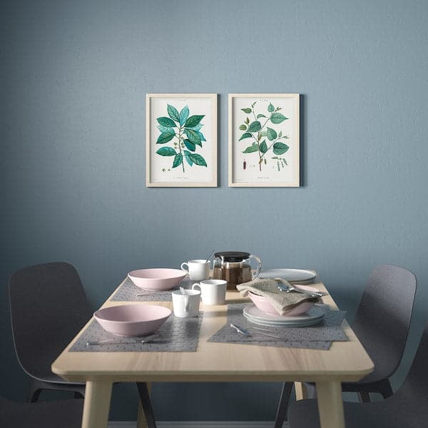 Ikea BILD - Poster, Botanical studies I, 30x40 cm