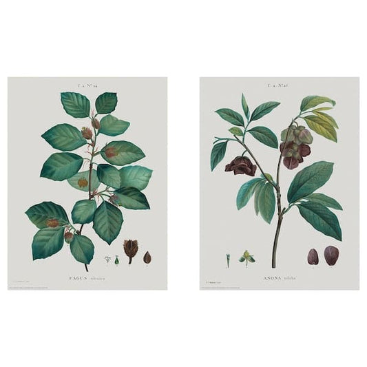BILD - Poster , 30x40 cm - best price from Maltashopper.com 20446934