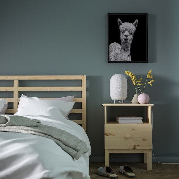 Ikea BILD - Poster , 40x50 cm