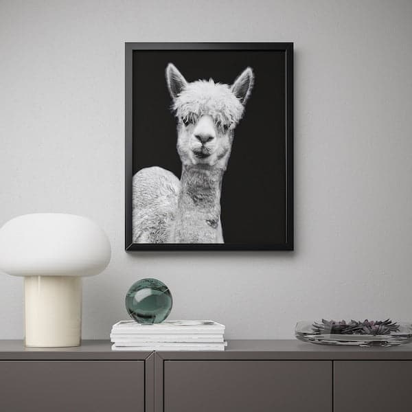 Ikea BILD - Poster , 40x50 cm