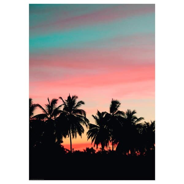 BILD - Poster, Palm sunset, 50x70 cm