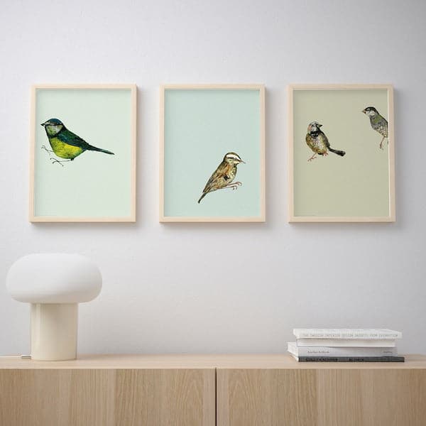 BILD - Poster , 30x40 cm - best price from Maltashopper.com 50436170