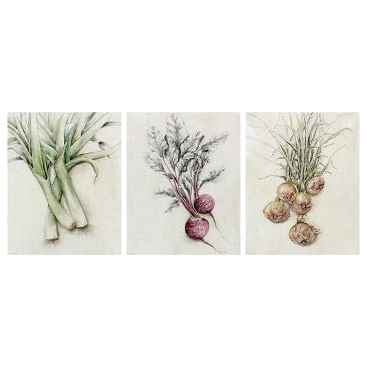 Ikea BILD - Poster, Vegetables, , 40x50 cm