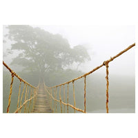 BILD poster, Jungle journey, 91x61 cm