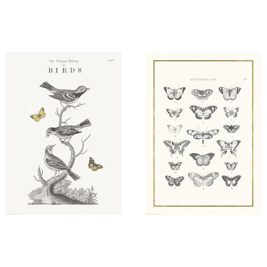 Ikea BILD - Poster , 50x70 cm