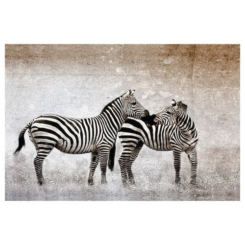 BILD poster, Zebra love, 91x61 cm