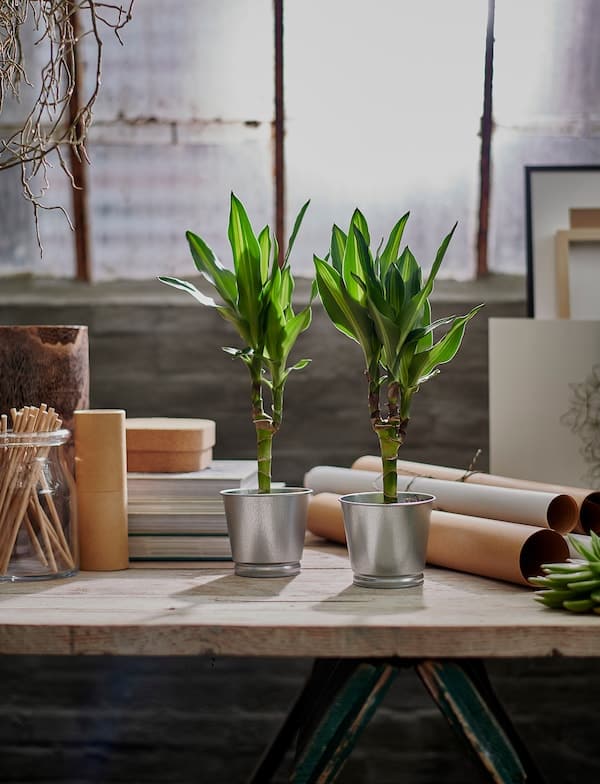 Ikea BINTJE - Plant pot, galvanised, 9 cm