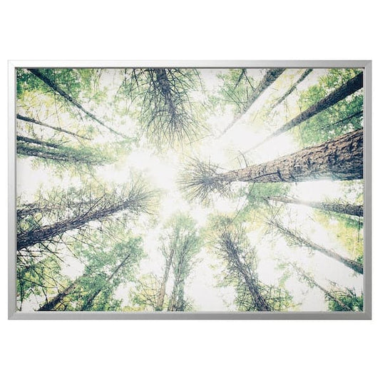 Ikea BJÖRKSTA - Picture with frame, look up/aluminium-colour, 140x100 cm