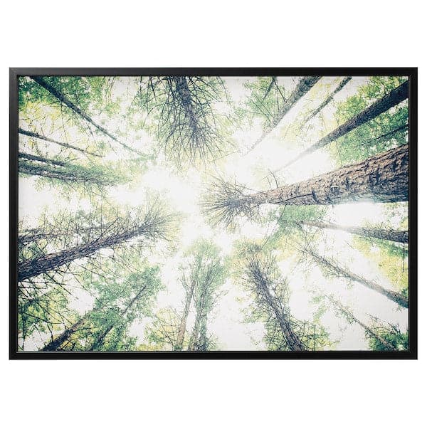 Ikea BJÖRKSTA - Picture with frame, look up/black, 140x100 cm