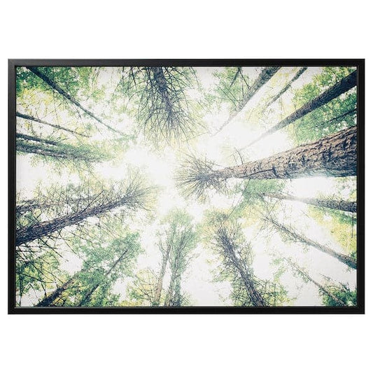 Ikea BJÖRKSTA - Picture with frame, look up/black, 140x100 cm