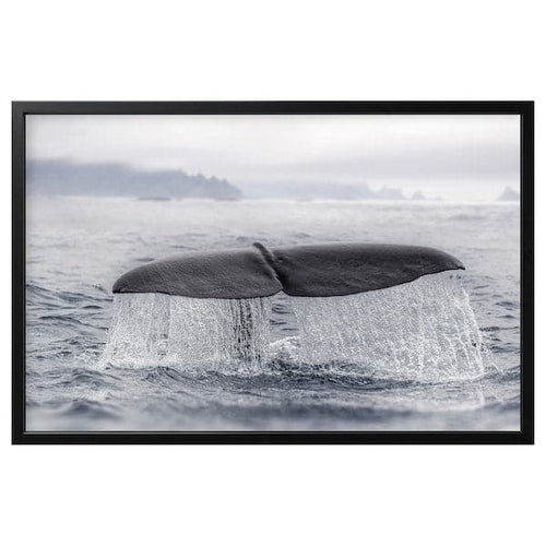 BJÖRKSTA Canvas framed - whaletail/black 118x78 cm , 118x78 cm