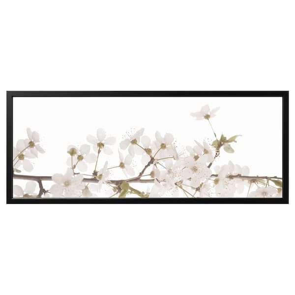 BJÖRKSTA - Canvas with frame, white/black flowers, , - best price from Maltashopper.com 09508933