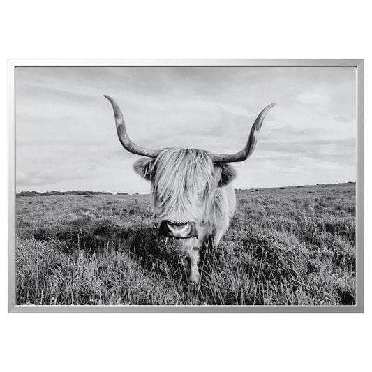 Ikea BJÖRKSTA - Picture with frame, curious cow/aluminium-colour, 140x100 cm