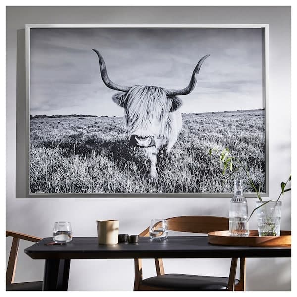 Ikea BJÖRKSTA - Picture with frame, curious cow/aluminium-colour, 140x100 cm
